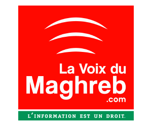 logo vdm 300x250